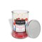 Firecracker Pop: Raspberry, Lemon & Cherry Scented Summer Candle (18 oz)